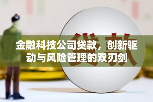 保税区金融科技公司贷款，创新驱动与风险管理的双刃剑