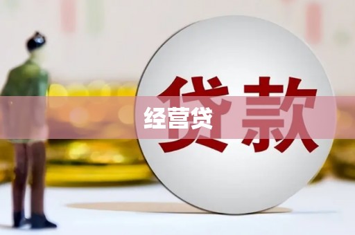 保税区经营贷