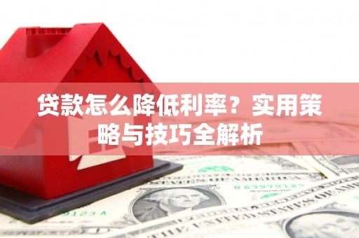 保税区贷款怎么降低利率？实用策略与技巧全解析