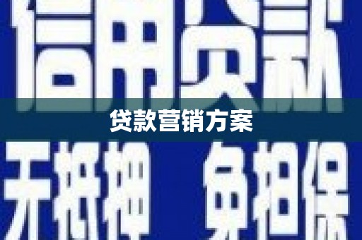 保税区贷款营销方案